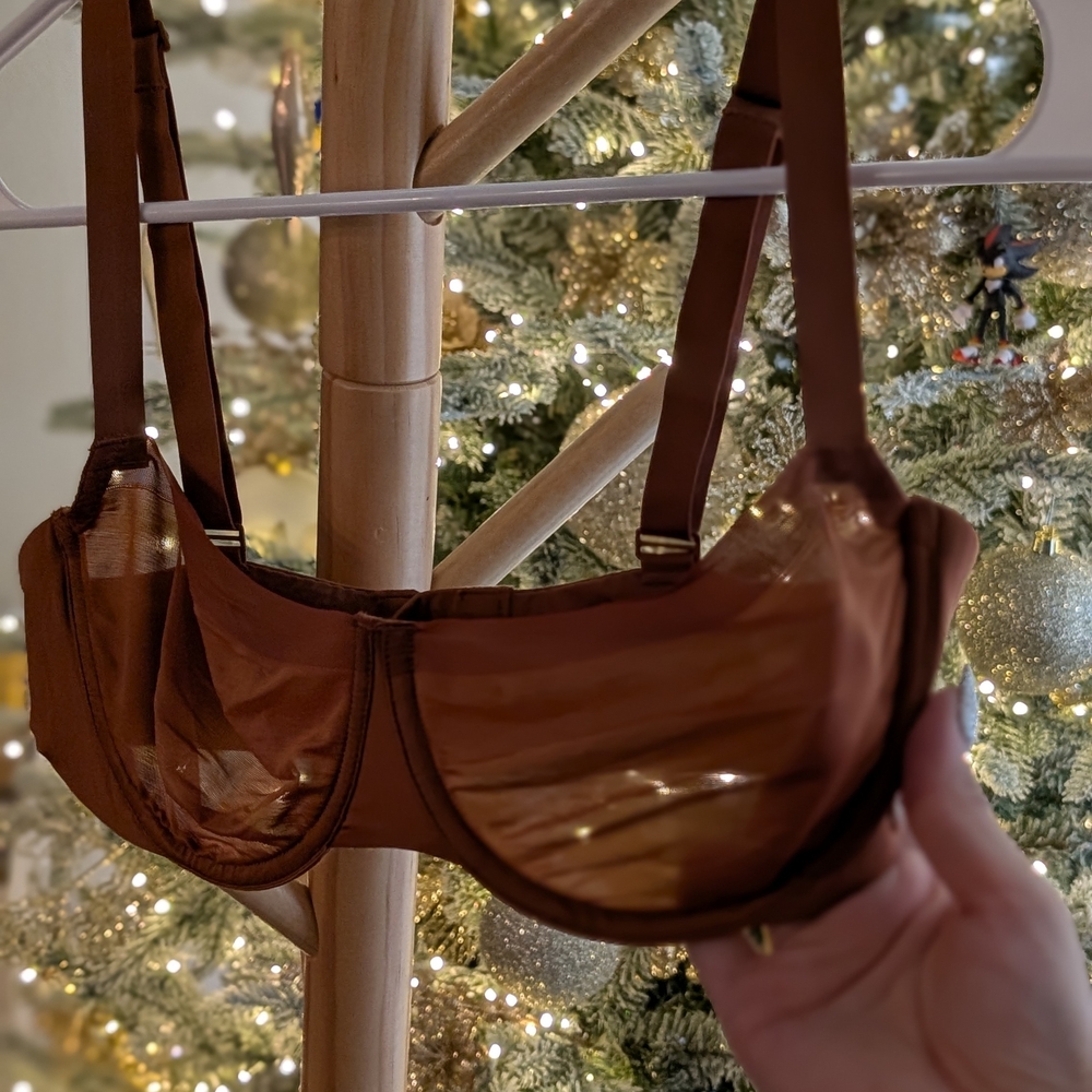 SKIMS Rich Brown Sheer Bra
